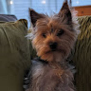 Meet your Posher, Kathy